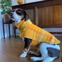 Town Pets Coat - Handmade with upcycled 100% Australian Wool