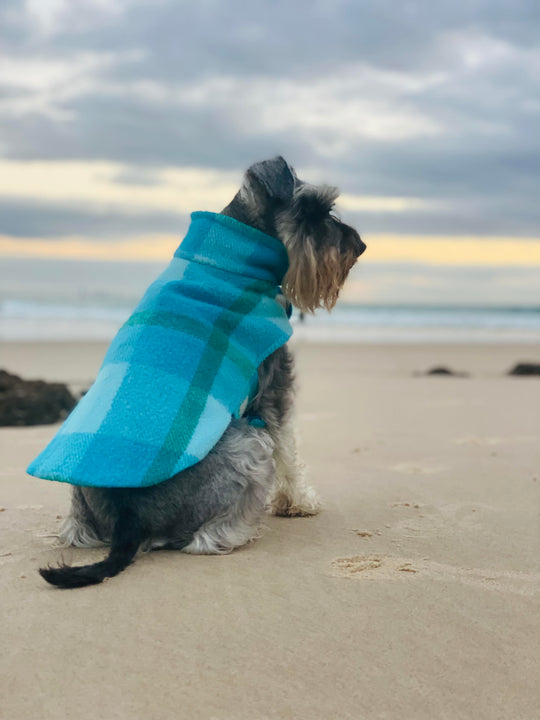 TOWN PETS UPCYCLED WOOL COATS